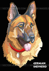 Colorful German shepherd hand drawing - vector clipart