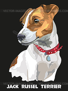 Colorful Jack Russel terrier - vector image