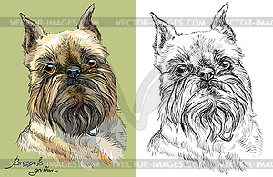 Colored and black and white Brussels griffon dog - vector clipart
