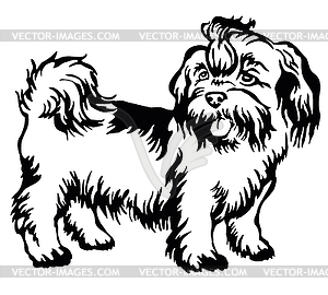 Декоративные постоянного портрет собаки shih-tzu, - векторный клипарт / векторное изображение