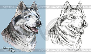Colorful and monochrome hand drawing portrait of - vector image