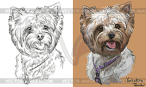 Colorful and monochrome hand drawing portrait of - vector clip art