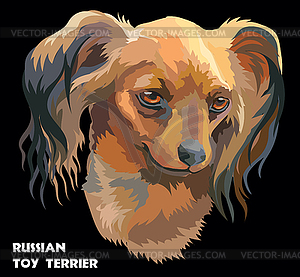 Colorful Russian long-haired toy Terrier portrait - vector clipart