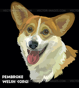 Pembroke Welsh Corgi, portrait - vector EPS clipart