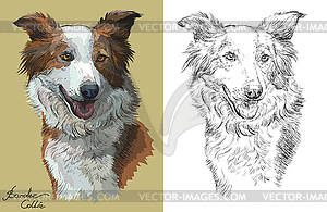 Colorful and monochrome hand drawing portrait of - color vector clipart