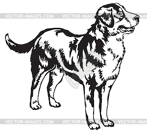 Decorative standing portrait of Greater Swiss - vector clip art
