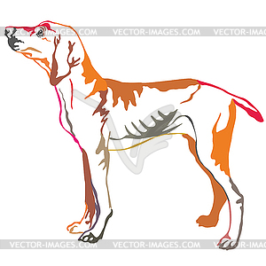 Colorful decorative standing portrait of Hungarian - vector clipart