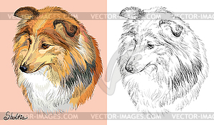 Colorful and monochrome hand drawing portrait of - vector clip art