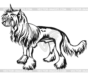 Decorative standing portrait of Chinese Crested - vector image