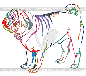 Colorful decorative standing portrait of dog pug - vector image