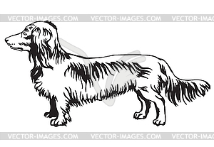 Decorative standing portrait of dog Long-haired - vector clip art