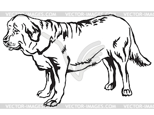 Decorative standing portrait of dog Spanish - vector image