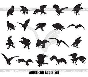 Set of american eagle silhouettes - vector image