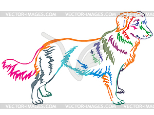 Colorful decorative standing portrait of Nova Scoti - color vector clipart