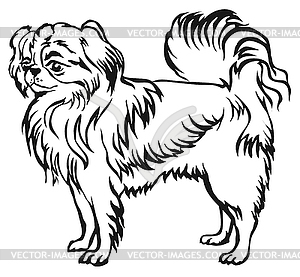Decorative standing portrait of Japanese Chin - royalty-free vector clipart