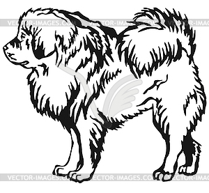 Decorative standing portrait of Tibetan Mastiff - vector image