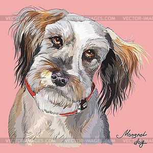 Fluffy dog colorful hand drawing portrait - vector image