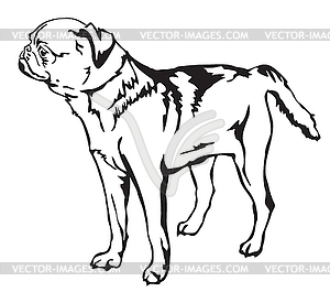 Decorative standing portrait of Petit Brabant - vector clipart