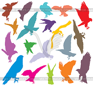 Set of colorful eagle silhouettes- - vector image
