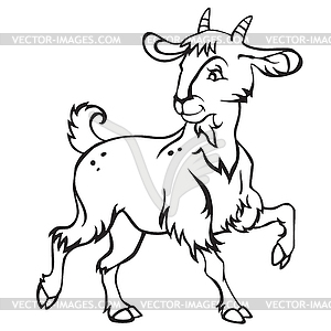 Goat- - vector clipart