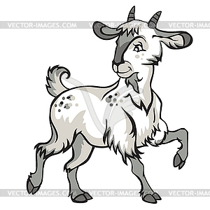 White Goat - vector image