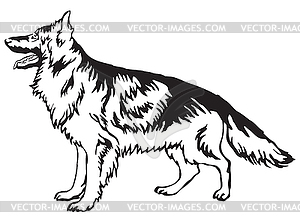 Decorative standing portrait of German Shepherd - vector image