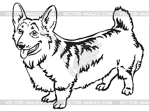 Decorative standing portrait of Welsh Corgi - vector image