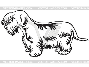 Decorative standing portrait of Sealyham Terrier - vector clipart