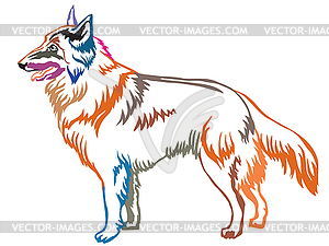 Colorful decorative standing portrait of Belgian - vector clip art