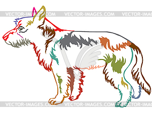 Colorful decorative standing portrait of Wire Coat - vector image