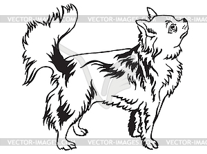 Decorative standing portrait of Longhaired Chihuahu - vector clipart