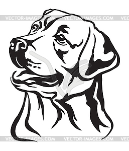 Decorative portrait of Labrador Retriever - vector image