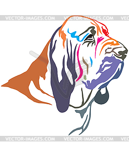 Colorful decorative portrait of Bloodhound - vector image