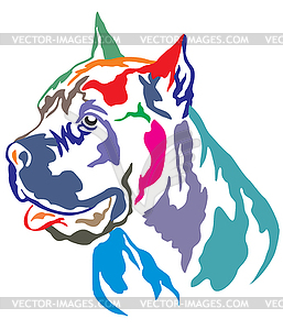 Colorful decorative portrait of Cane Corso - vector clipart