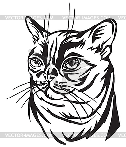 Decorative portrait of Burmese Cat - vector clipart