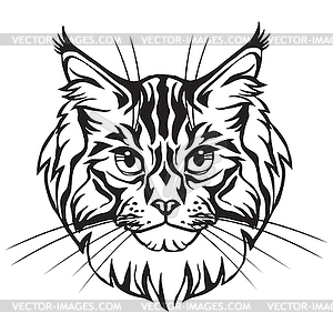 Decorative portrait of Maine Coon Cat - vector clip art