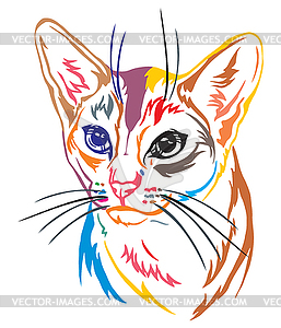 Colorful decorative portrait of Abyssinian Cat - vector image