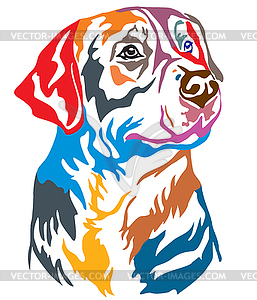 Colorful decorative portrait of Greater Swiss - vector image