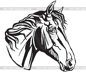Decorative portrait of Trakehner horse- - vector image