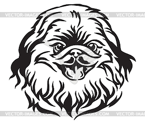 Decorative portrait of Dog Pekingese - vector image