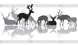 Deers silhouettes with reflection - vector clipart / vector image