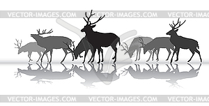 Walking deers females silhouette with reflection - vector clipart