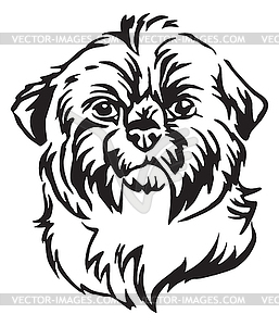 Decorative portrait of Dog Shih Tzu - vector clip art