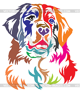 Colorful decorative portrait of Bernese Mountain Do - vector clipart