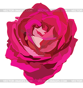 Flower  - vector image