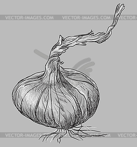 Grey fruit- - vector image