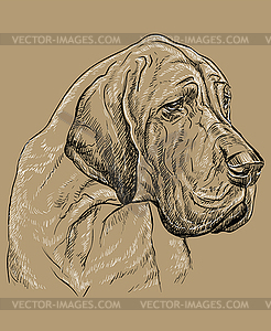 Monochrome Great Dane hand drawing portrait - vector EPS clipart