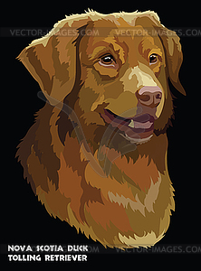 Toller colorful portrait - vector image