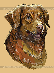 Toller colorful hand drawing portrait - vector image