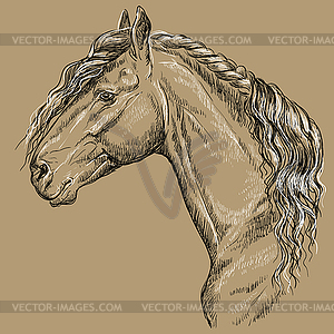 Horse portrait-15 on brown background - vector clip art